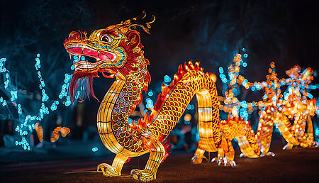 Illuminated dragon at night during Chinese New Year celebrations.