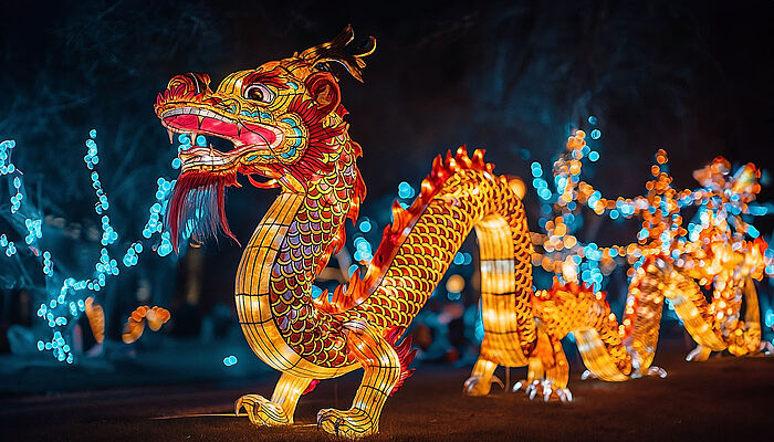 Illuminated dragon at night during Chinese New Year celebrations.