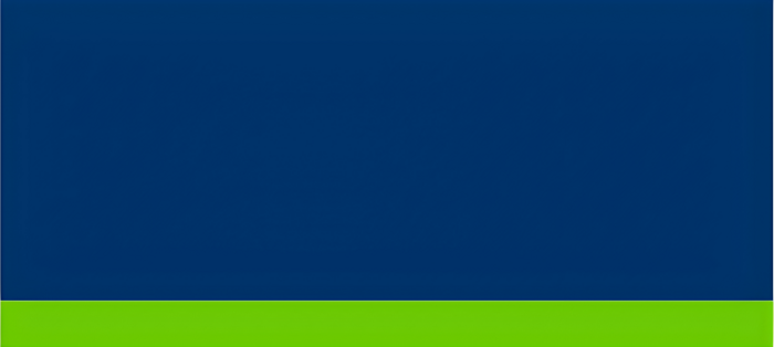 Large dark blue color segment above a thin green bar.