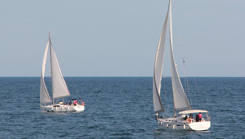 sailing regatta 3